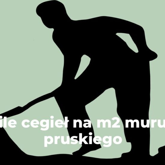 ile cegieł na m2 muru pruskiego