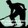 ile cegieł na ścianę działową 12cm