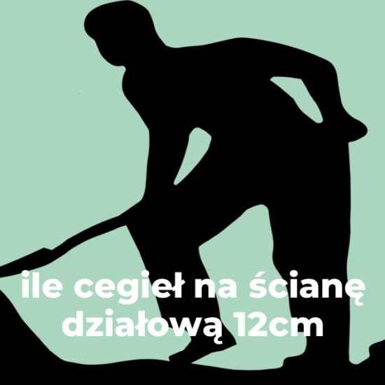 ile cegieł na ścianę działową 12cm