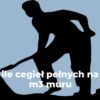 ile cegieł pełnych na m3 muru