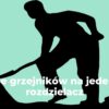 Ile grzejników na jeden rozdzielacz