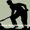 Ile kory kamiennej na m2