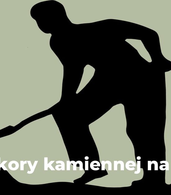 Ile kory kamiennej na m2