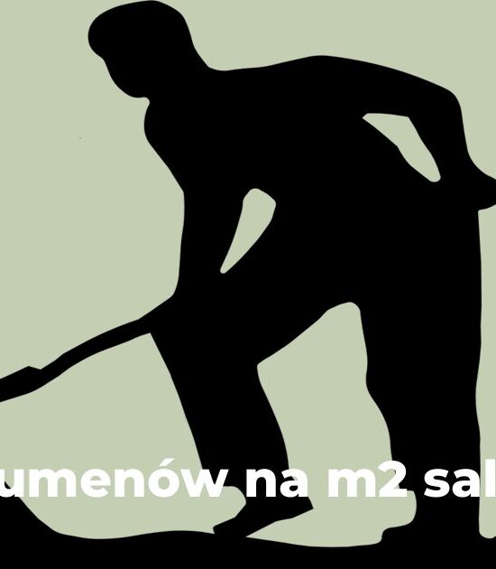 Ile lumenów na m2 salonu