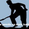 Ile peszla na metr kabla