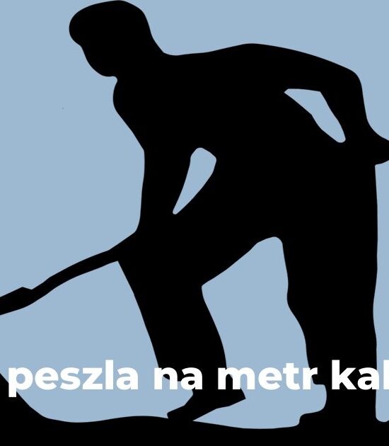 Ile peszla na metr kabla
